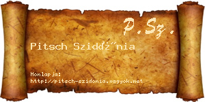 Pitsch Szidónia névjegykártya
